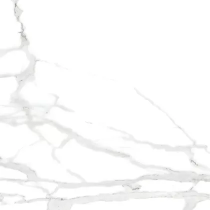 Фото Керамогранит Statuario 60x60 Индия