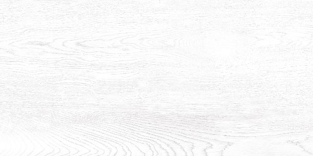 Фото Плитка Wood 249x500 (TWU09WOD000) Россия