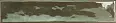 керамическая плитка Monopole 002711 San Remo Olive 5x25