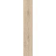 Керамогранит Eternity Beige 20x120