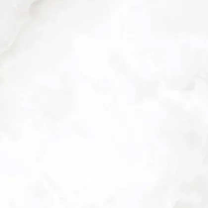 Фото Керамогранит Laparet Onyx Blanco Pro Светло-Серый Матовый R11Soft 60Х60 Индия