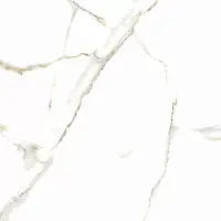 Керамогранит Satvario Gold 60х60 Индия Фото Керамогранит Satvario Gold 60х60