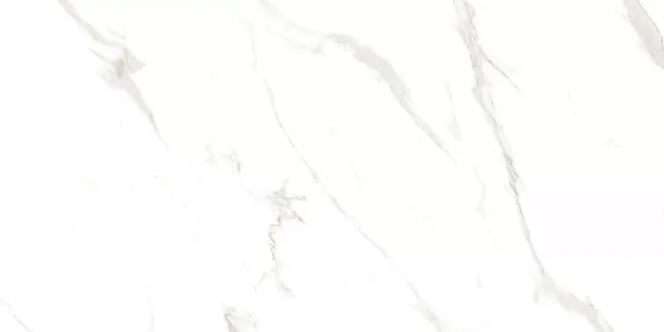 Керамогранит Carrara Livia Glossy 60x120 (M4401P) для гостиной, для кухни, для ванной, для туалета, для спальни, для прихожей, на теплый пол Фото Керамогранит Carrara Livia Glossy 60x120 (M4401P) Китай
