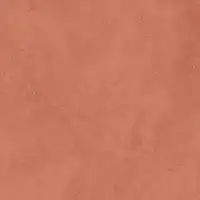 Фото Керамогранит Alpas Denver Red Base Matt 20x20