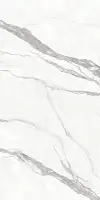 Фото Керамогранит Protiles Calacatta PT12F7002 Matt 1200х600х9