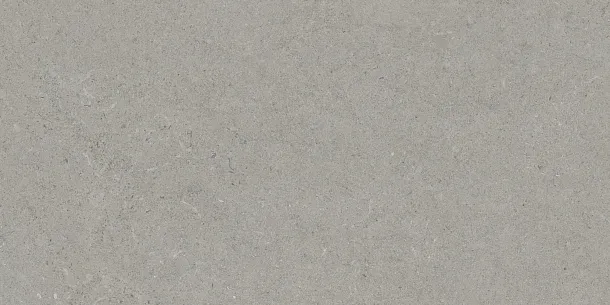 Фото Керамогранит Tau Ceramica Calcare Silver 60x120 Испания