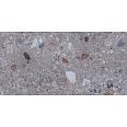 Керамогранит Fossil Grus 60х120
