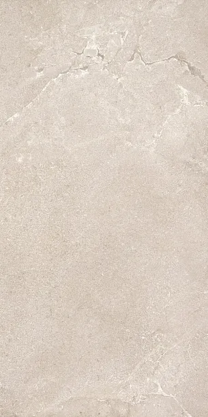 Фото Керамогранит Dado Ceramica DNWS201 New Stone Daino 60x120 Италия