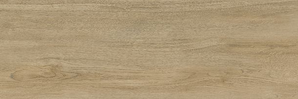 Фото Плитка Woodstyle Oak 300x900x10,5 (WT93WOS21) Беларусь