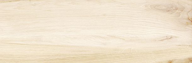 Фото Плитка Canyon Wood 246x740 (WT15CAC08R) Россия