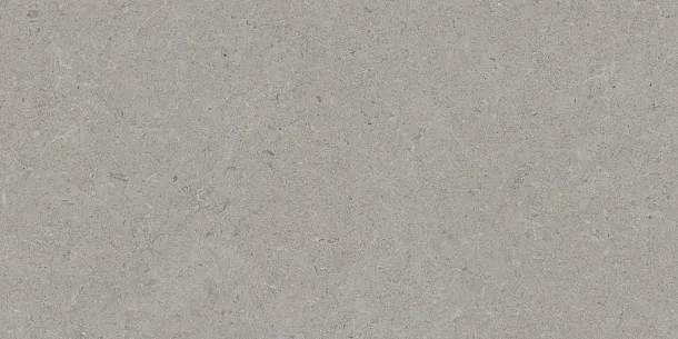 Фото Керамогранит Tau Ceramica Calcare Silver 60x120 Испания