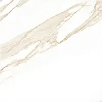 Керамогранит Luna Gold Sugar 60x60 Фото Керамогранит Luna Gold Sugar 60x60