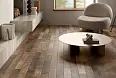 Керамогранит Ragno Marazzi RDLQ Nodis Chevron Natural Matt 11x54