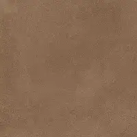 Фото Керамогранит Ennface ENCLR6066MT2020 Levels Cedar Matt 200х200х8