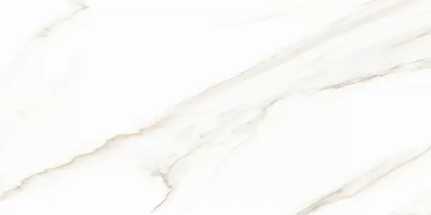 Фото Плитка WT9ESR00 Esprit Calacatta 250*500*9 Россия