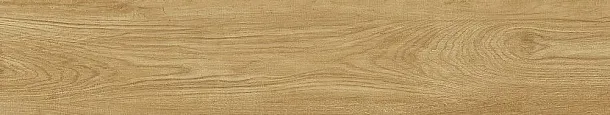 Фото Керамогранит Dune 189005 Quercus Miele 22x120 Испания
