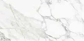 Фото Керамогранит Palacio Statuario Altimo Polished 60x120