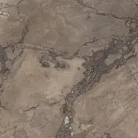 Керамогранит Epoque Brown Ret 60X60 (PF60004408) Италия Фото Керамогранит Epoque Brown Ret 60X60 (PF60004408)