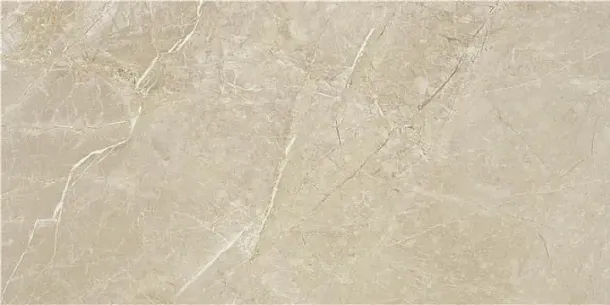 Фото Керамогранит STN Ceramica Syrah Ivory MT Rect 60x120 Испания