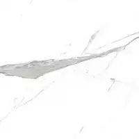 Фото Керамогранит Geotiles Nilo Leviglass Blanco 120x120