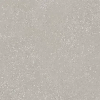 Фото Керамогранит Kerama Marazzi Касабланка серый светлый матовый 20x20x0,8 (KM2020G0011N) Россия