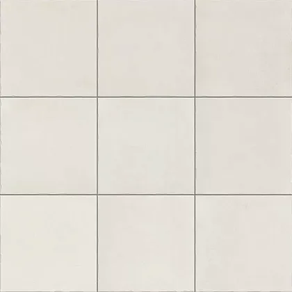 Фото Керамогранит Nostalgy White 20X20 (PT03416) Испания