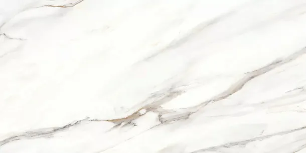 Фото Керамогранит Escaped Полированный 80х160 Индия