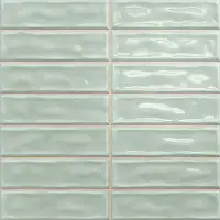 Фото Керамическая Плитка Absolut Keramika Sticks Fern 20х20