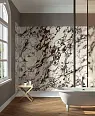 Керамогранит Fondovalle INF3423-1 Tiger All-Light Polished Ret 120x278
