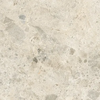 Фото Керамогранит Laparet LP6060G0231R Astoria Beige бежевый матовый 59,5х59,5 Россия