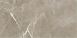 Фото Керамогранит ST120GG Star Greige Rett 60х120