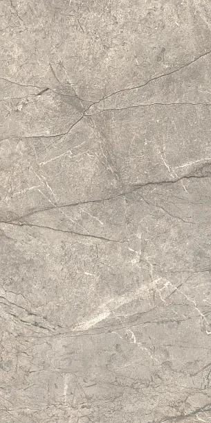 Фото Керамогранит Caesar AIAV Amazing Silver Liscio Matt 60x120 Италия