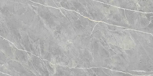 Фото Керамогранит Ennface ENSTN8003LM60120 Marcasite Glossy 60x120 Индия