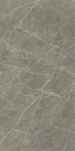 Фото Керамогранит Kerama Marazzi Эстерель серый матовый обрезной 60x119,5x0,9 (KM6012G0821R) Россия