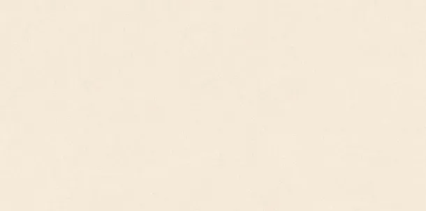 Фото Керамогранит Gravita Melton Ivory Ghr Punch Matt 80x160 Индия
