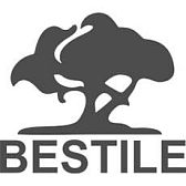 Бренд Bestile логотип