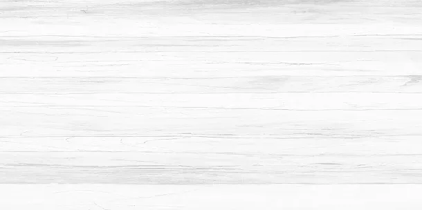 Фото Плитка WT9VIC25 Vincenzo Casa 249*500*75 Россия