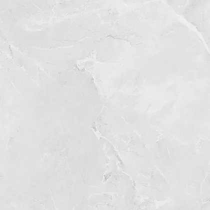 Фото Керамогранит Laparet LP6060G0241R Berna Silver светло-серый матовый 59,5х59,5 Россия