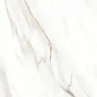 Фото Керамогранит Escaped Полированный 80х80