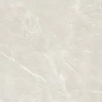 Фото Керамогранит Eternal ETSTN1226MT6060 Liceo Pearl Matt 60x60