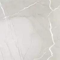Керамогранит PASSION LUX 60 ICE 60*60 Фото Керамогранит PASSION LUX 60 ICE 60*60