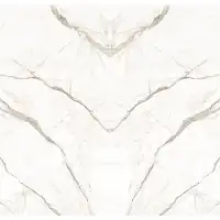 Фото Керамогранит I Naturali Calacatta Oro Venato Lucidato Bookmatch B 5+mm 1620x3240 (LAMFFM0072_IT)