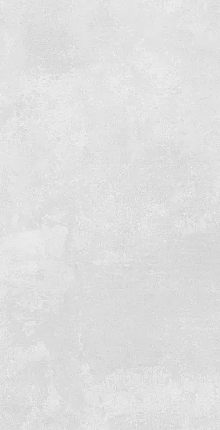 Фото Керамогранит Azulev Organic Grey RC 60x120 Испания