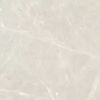 Фото Керамогранит Eternal ETSTN1226GL6060 Liceo Pearl Glossy 60x60