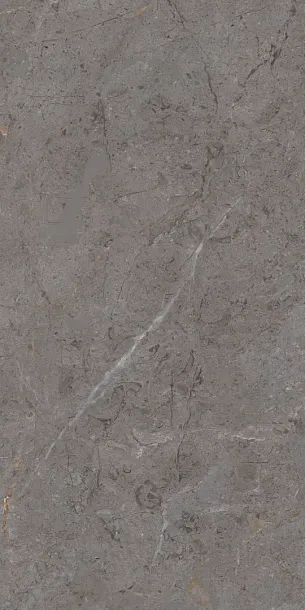 Фото Керамогранит Protiles PT12P7057 Verona Pol 1200х600х9 Узбекистан
