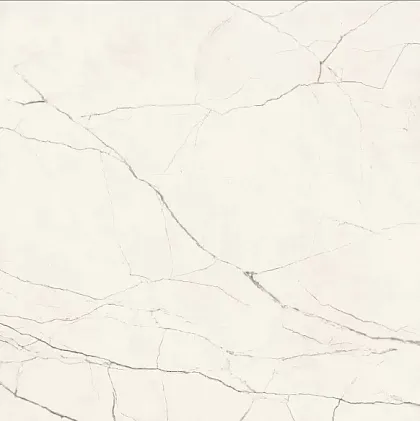 Фото Керамогранит Imola Ceramica STA VP6 60 LP The Room 60x60 Италия