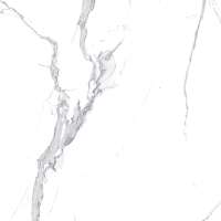 Фото Керамогранит Calacatta Splendid Silver Белый Матовый 60x60 (х9999304482)