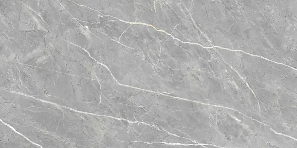 Фото Керамогранит Ennface ENSTN8003LM60120 Marcasite Glossy 60x120 Индия