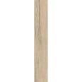 Керамогранит Sweden Honey 20x120