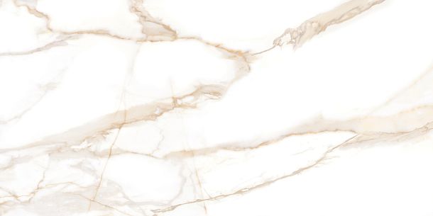 Фото Керамогранит Sandy Carrara полированный 600x1200 (60120SAC11P) Индия